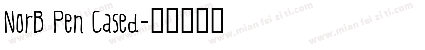 NorB Pen Cased字体转换